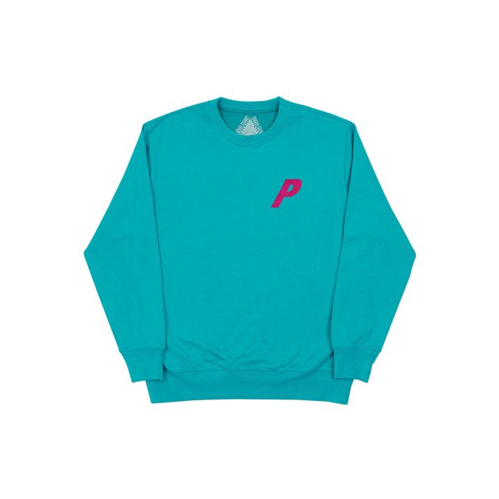 FLOCKA P CREW SEA GREEN one color