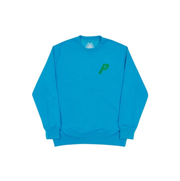 FLOCKA P CREW TEAL BLUE one color