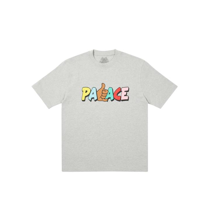 SHITFACED SHAKA T-SHIRT GREY MARL one color