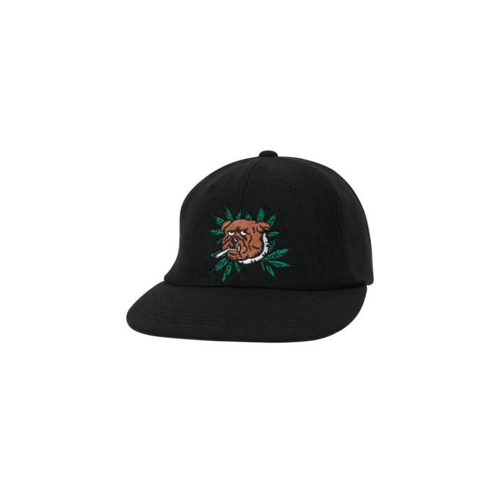 Thumbnail WEED BULLDOG WOOL 6-PANEL BLACK one color