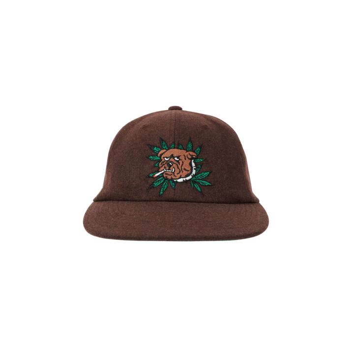 Thumbnail WEED BULLDOG WOOL 6-PANEL BROWN one color