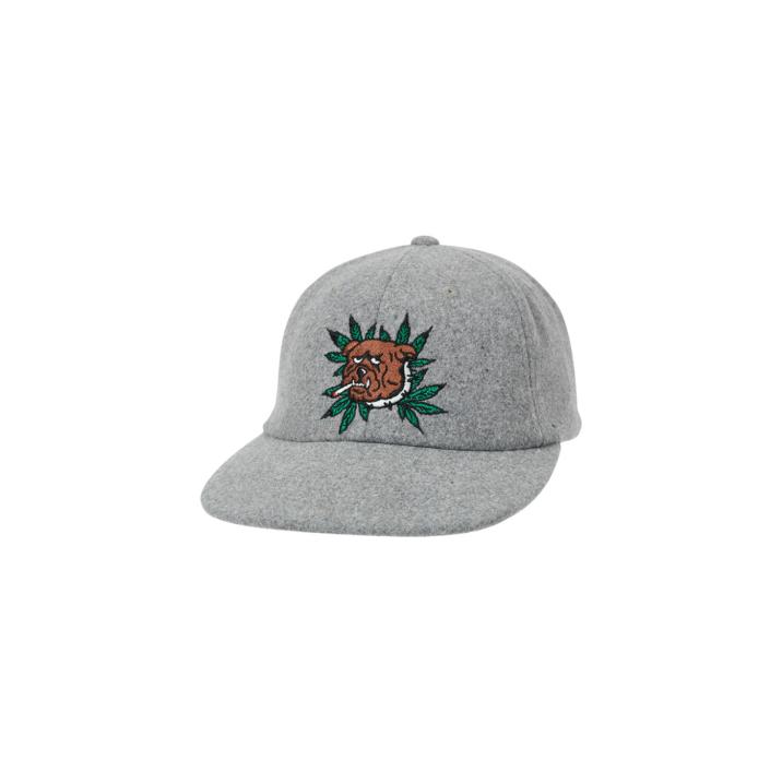 Thumbnail WEED BULLDOG WOOL 6-PANEL GREY one color