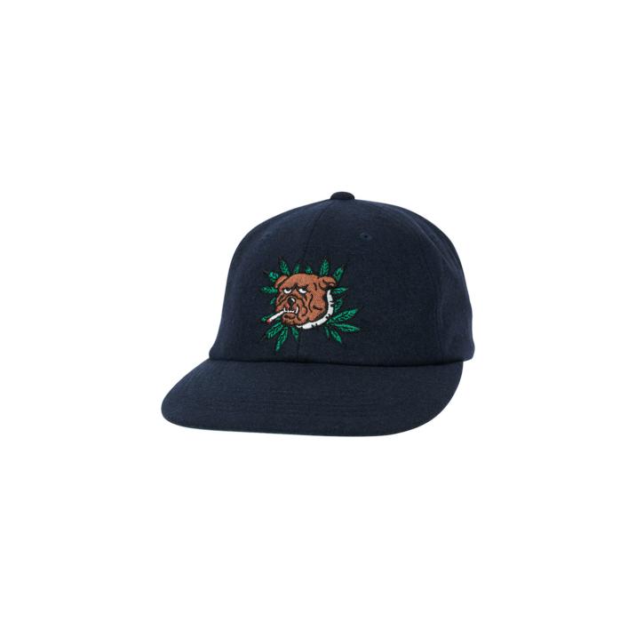 Thumbnail WEED BULLDOG WOOL 6-PANEL NAVY one color