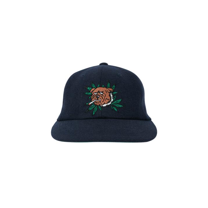 Thumbnail WEED BULLDOG WOOL 6-PANEL NAVY one color