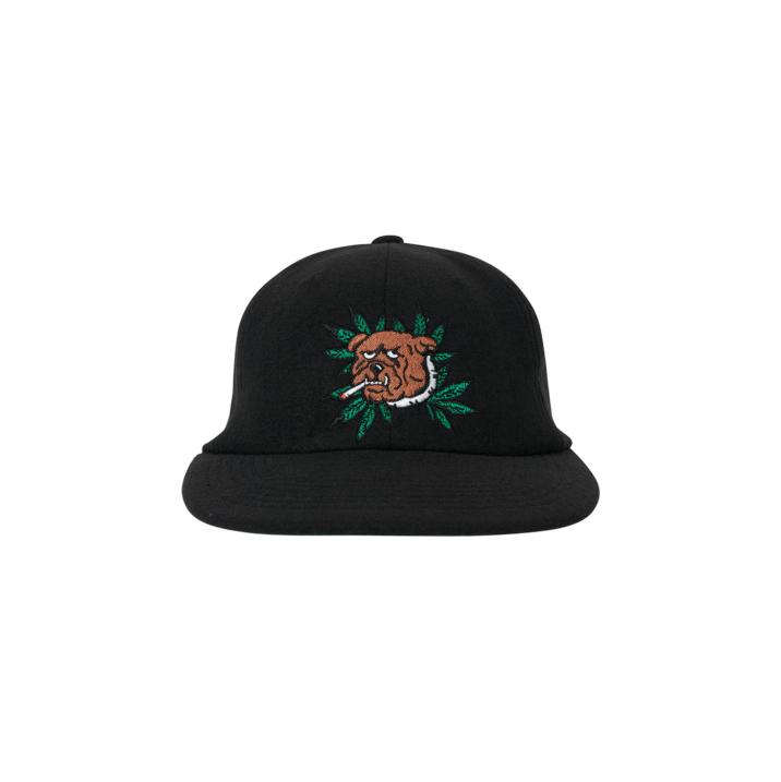 Thumbnail WEED BULLDOG WOOL 6-PANEL BLACK one color