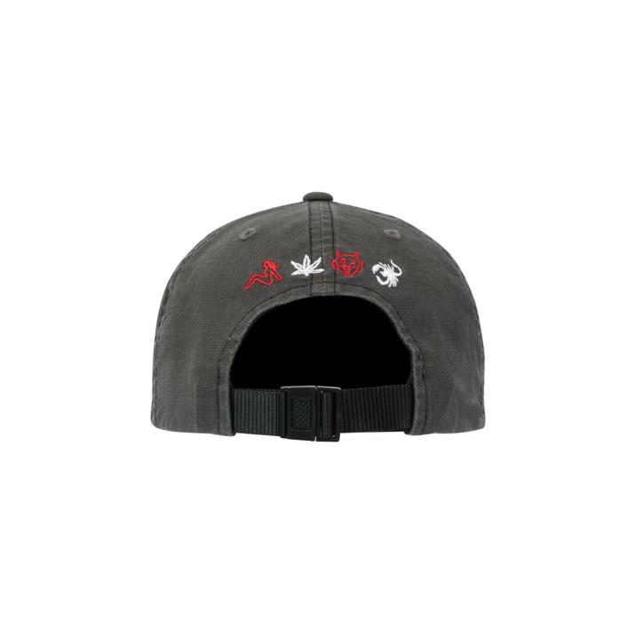 Thumbnail PALACE SKATES 6-PANEL GREY one color