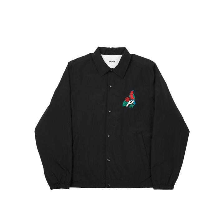 Thumbnail PARROT PALACE-3 COACH JACKET BLACK one color