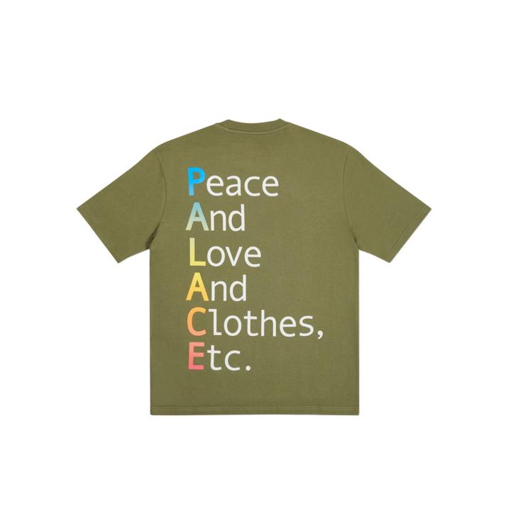 Thumbnail THIS IS WHAT PALACE STANDS FOR T-SHIRT OLIVE one color