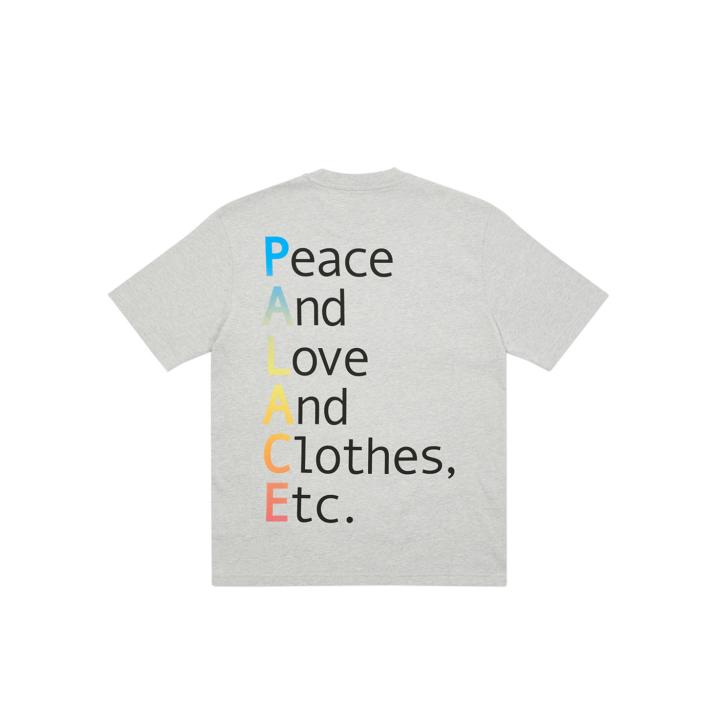 Thumbnail THIS IS WHAT PALACE STANDS FOR T-SHIRT GREY MARL one color