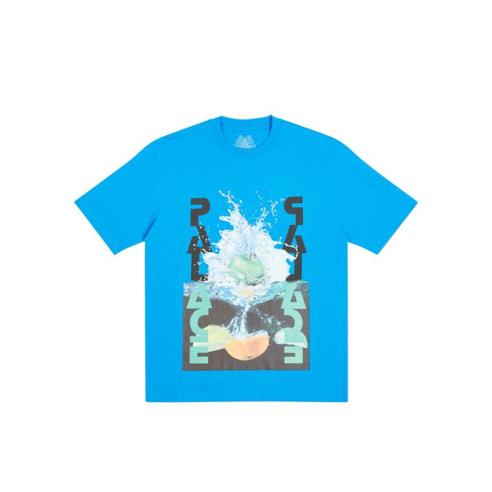 FRUI T-SHIRT BLUE one color