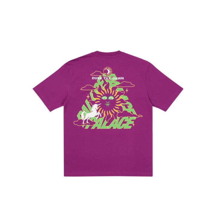 Thumbnail DA ONE T-SHIRT PLUM one color