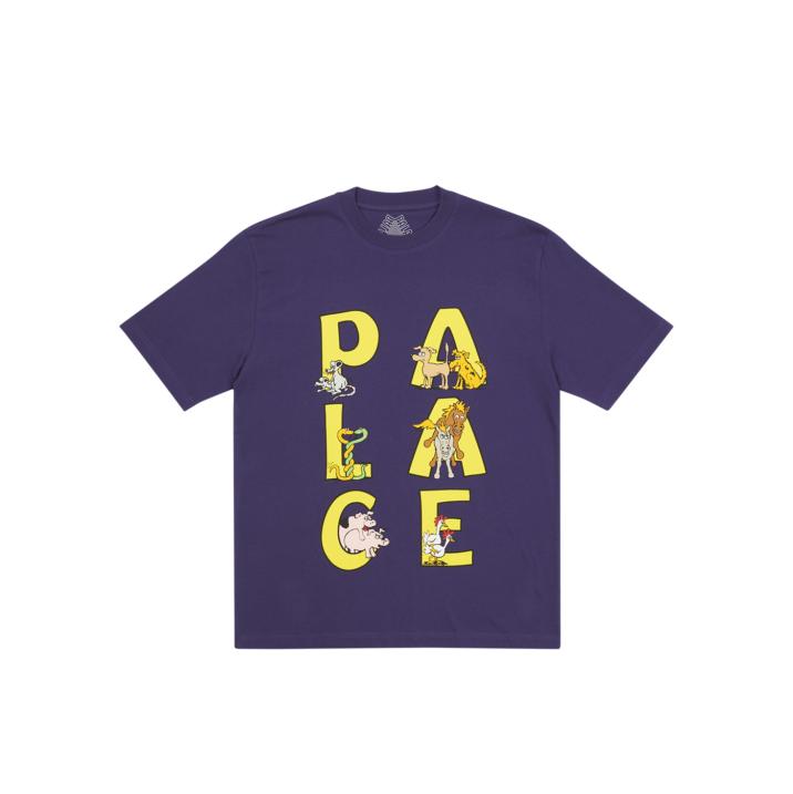 SESSION T-SHIRT PURPLE one color