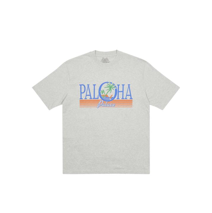 PALOHA T-SHIRT GREY MARL one color