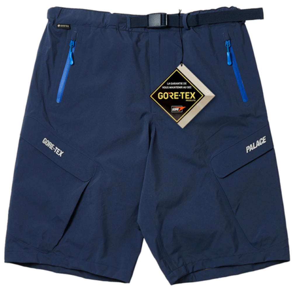 Thumbnail GORE-TEX R-TEK CARGO SHORT NAVY one color