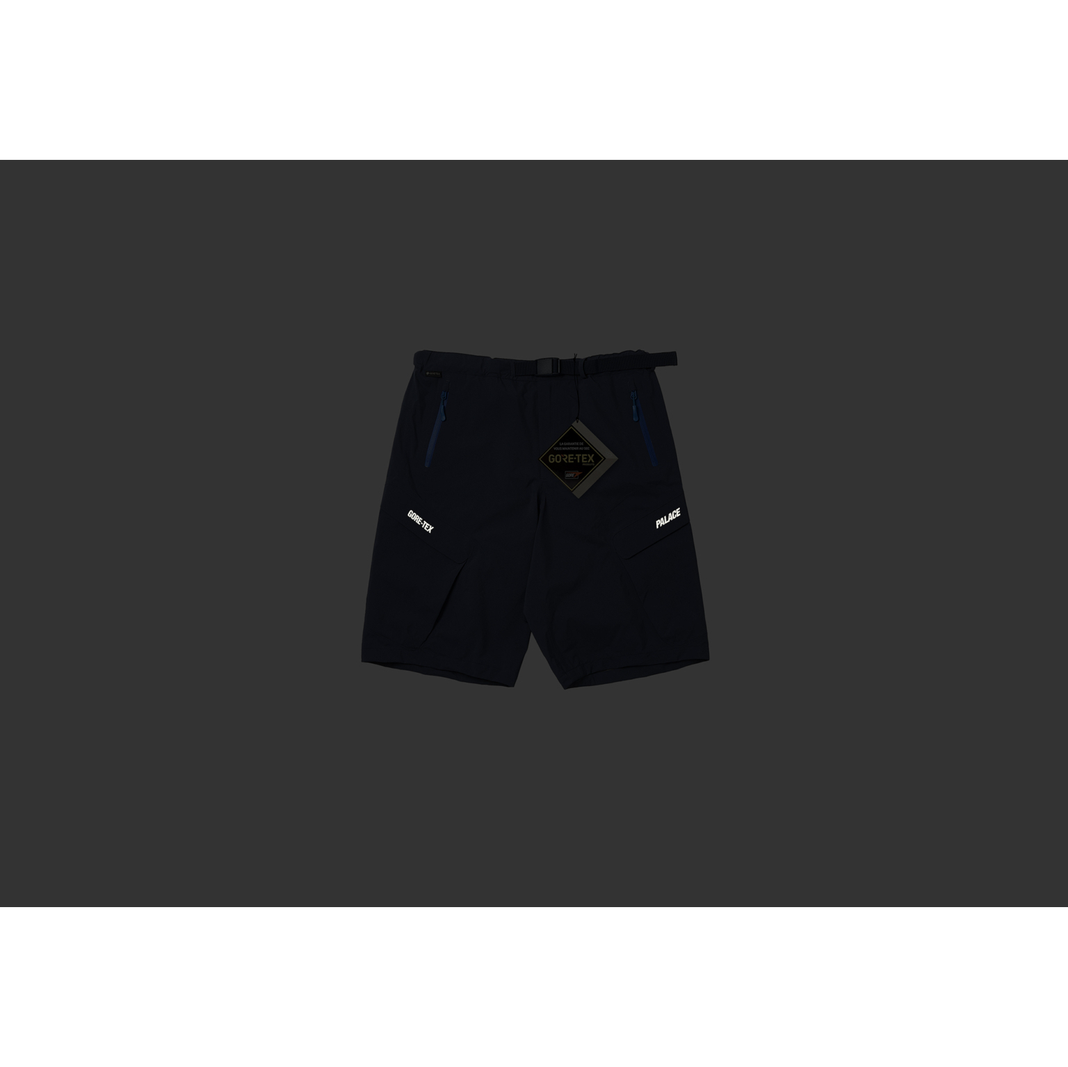 Thumbnail GORE-TEX R-TEK CARGO SHORT NAVY one color