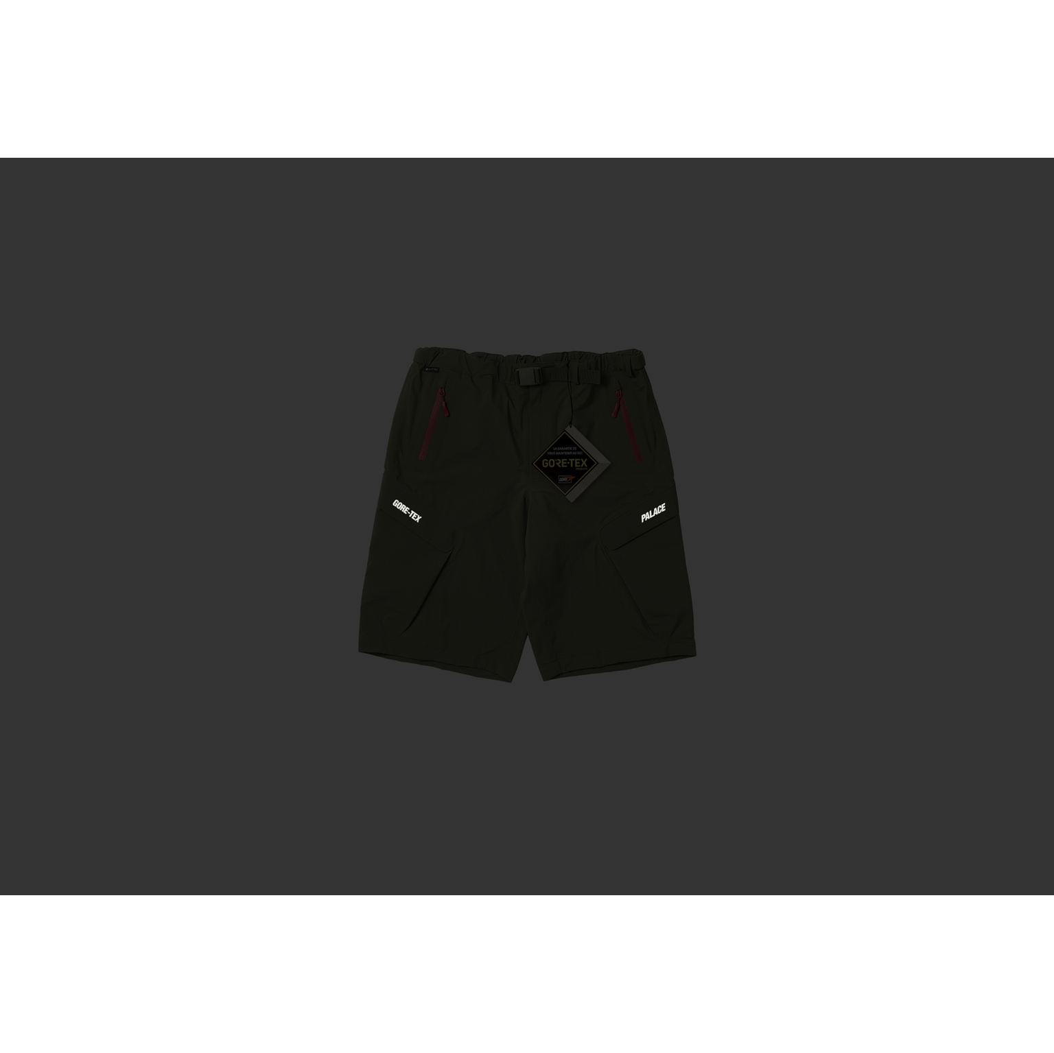 Gore-Tex R-Tek Cargo Short Olive - Autumn 2023 - Palace Community