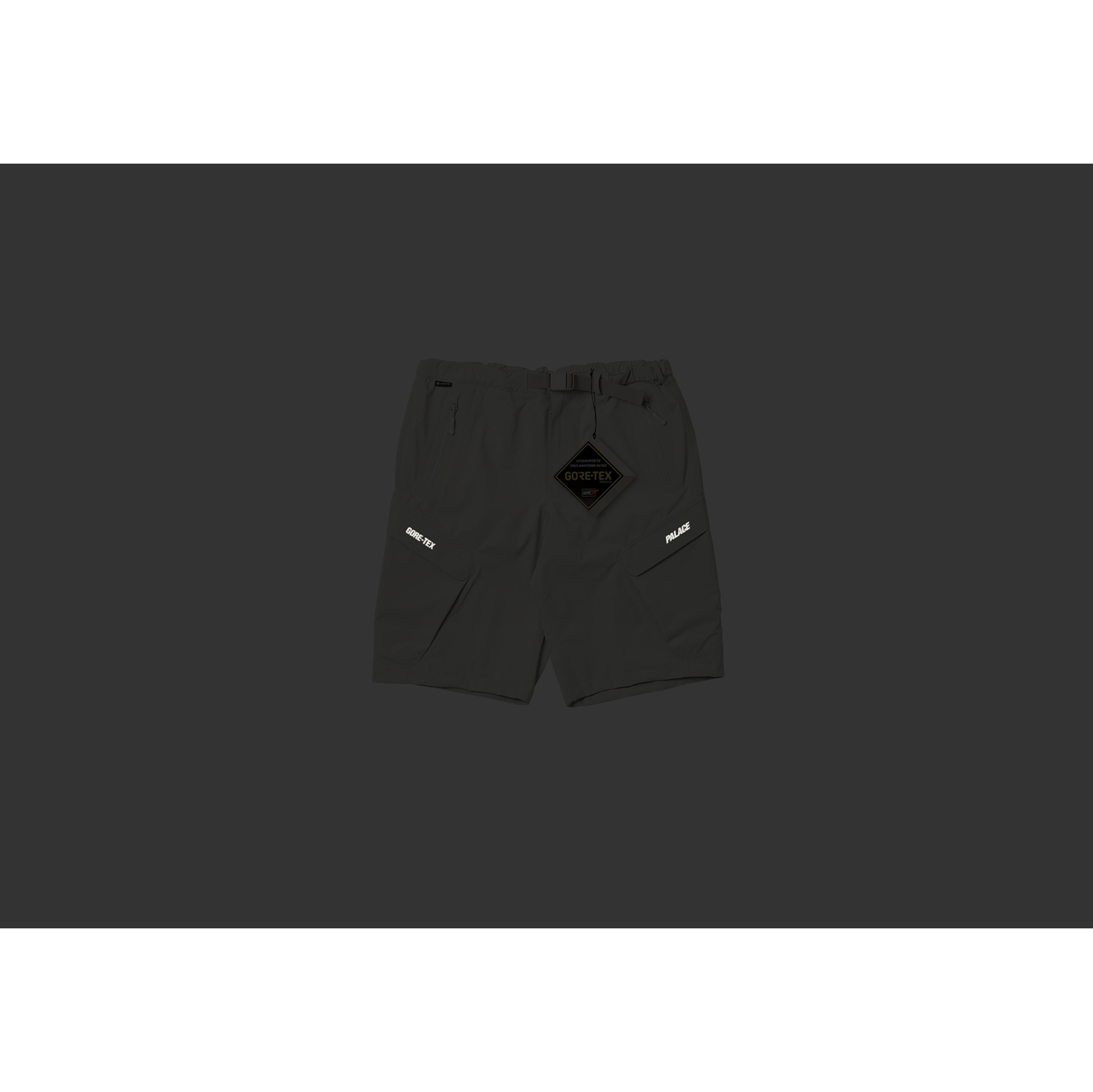 Thumbnail GORE-TEX R-TEK CARGO SHORT STONE one color