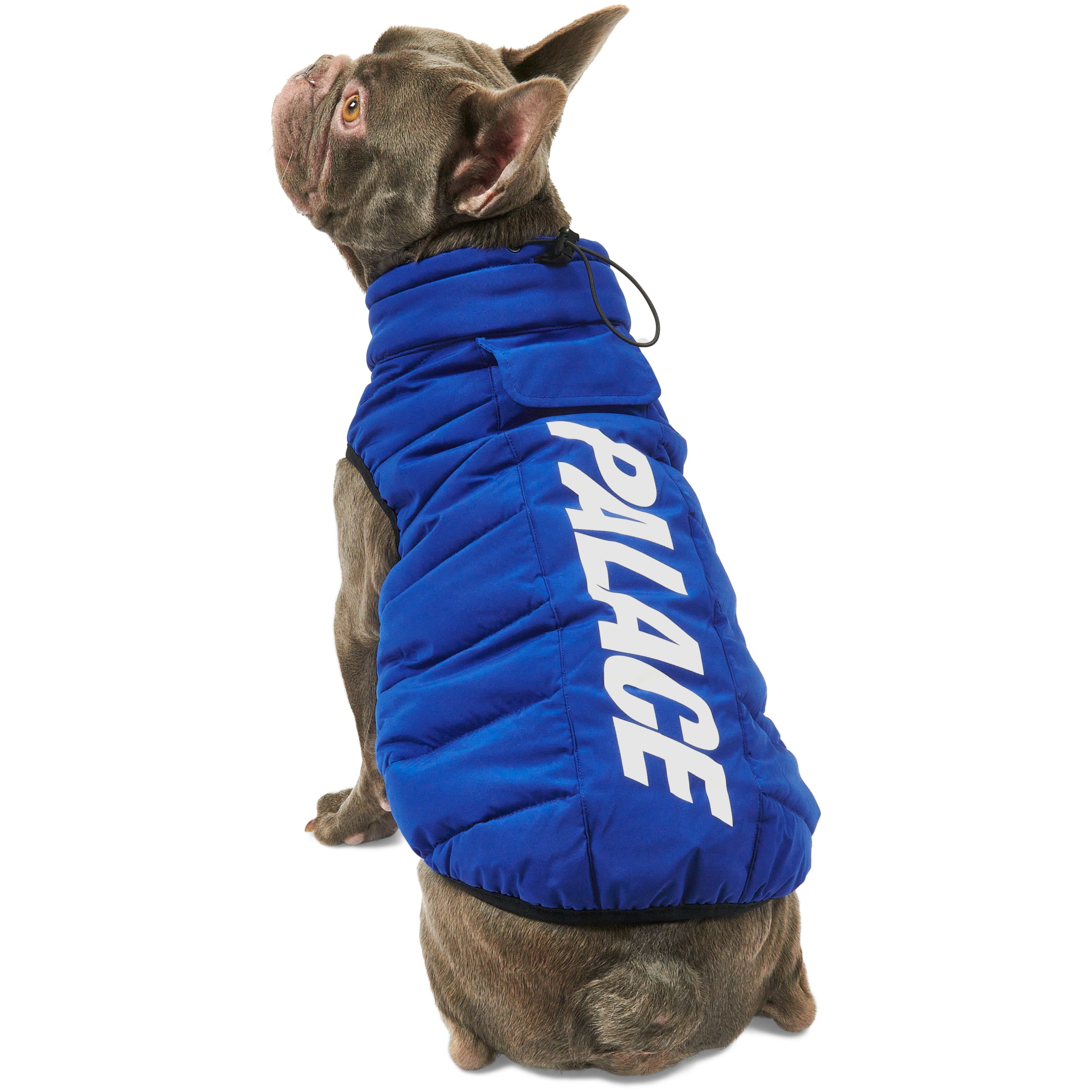 Thumbnail DOG PUFFA BLUE one color