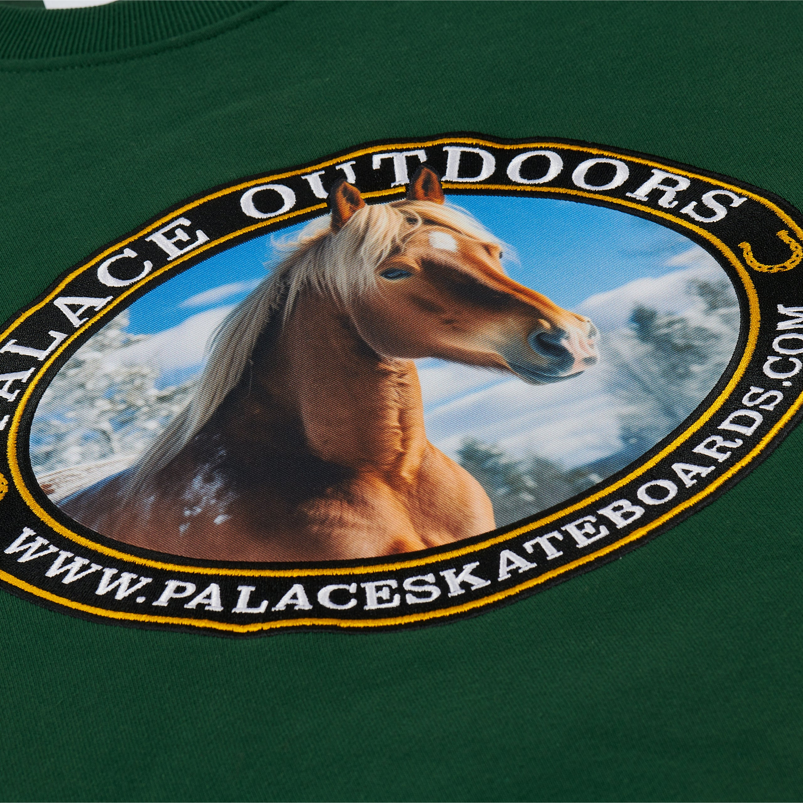 Thumbnail PALACE OUTDOORS CREW RACEY GREEN one color