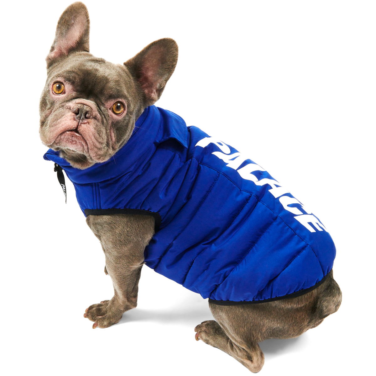 Thumbnail DOG PUFFA BLUE one color