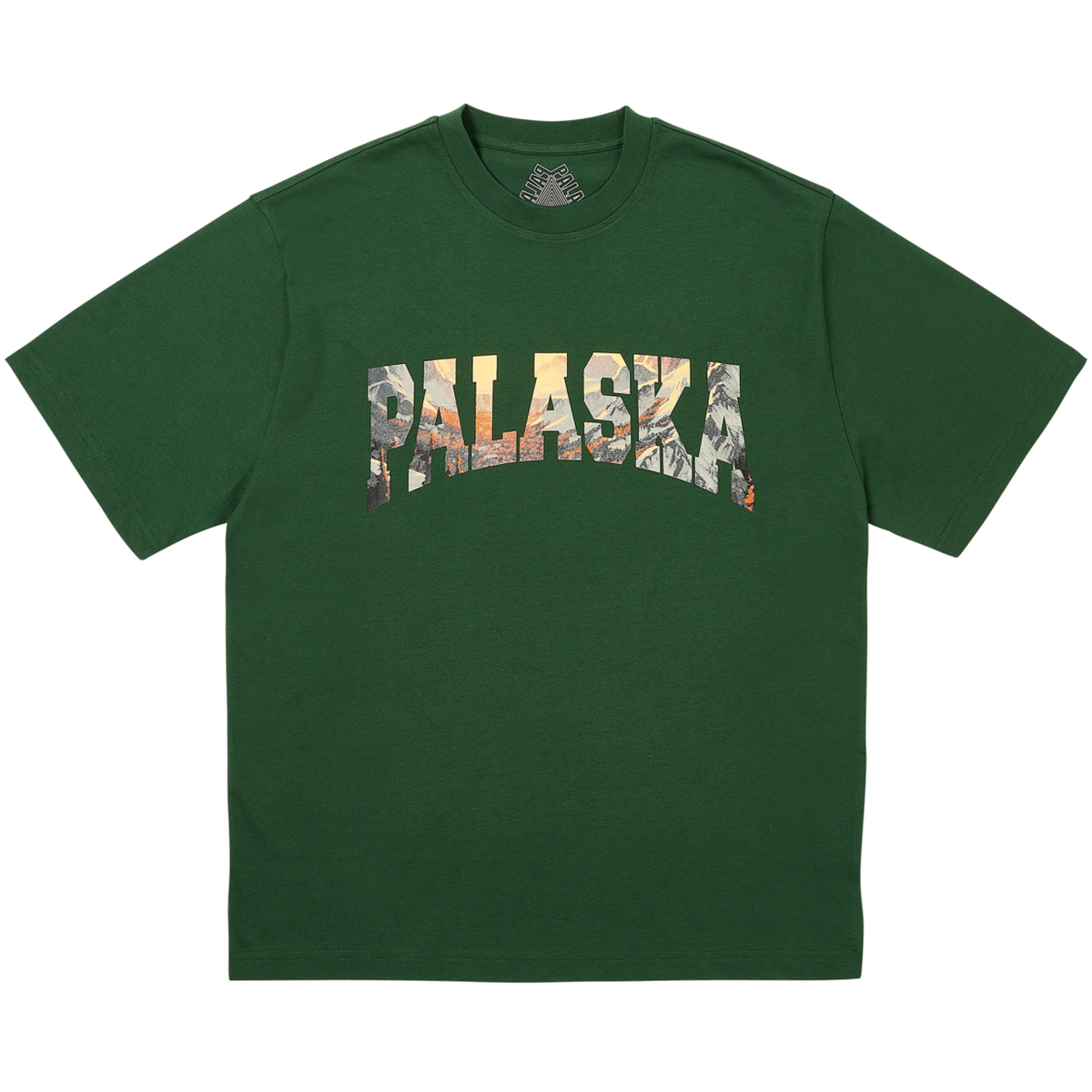 Thumbnail PALASKA T-SHIRT RACEY GREEN one color