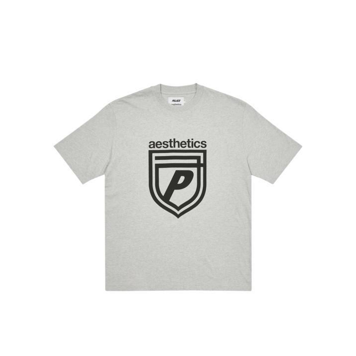 PALACE AESTHETICS T-SHIRT GREY one color