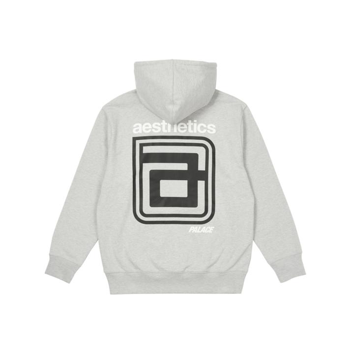 PALACE AESTHETICS HOODIE GREY one color