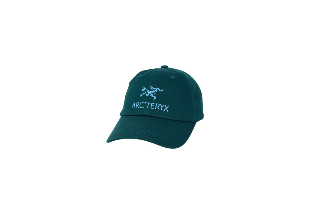 palace arcteryx cap - ファッション