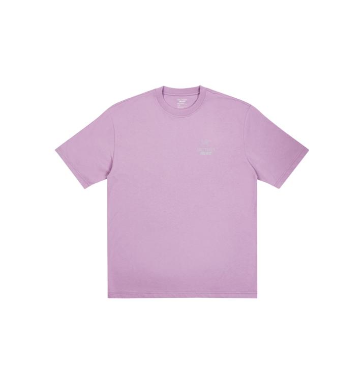 Thumbnail PALACE T-SHIRT ARC TERYX HAZE one color