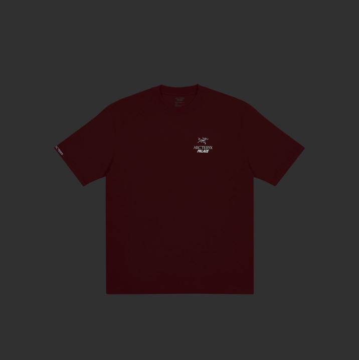 Thumbnail PALACE T-SHIRT ARC TERYX OCHRE one color