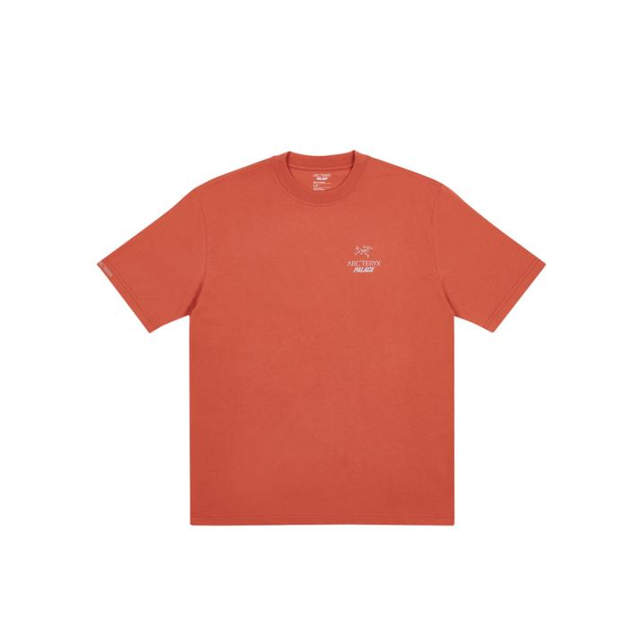 Thumbnail PALACE T-SHIRT ARC TERYX OCHRE one color