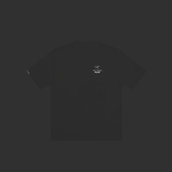 Thumbnail PALACE T-SHIRT ARC TERYX WHITE one color