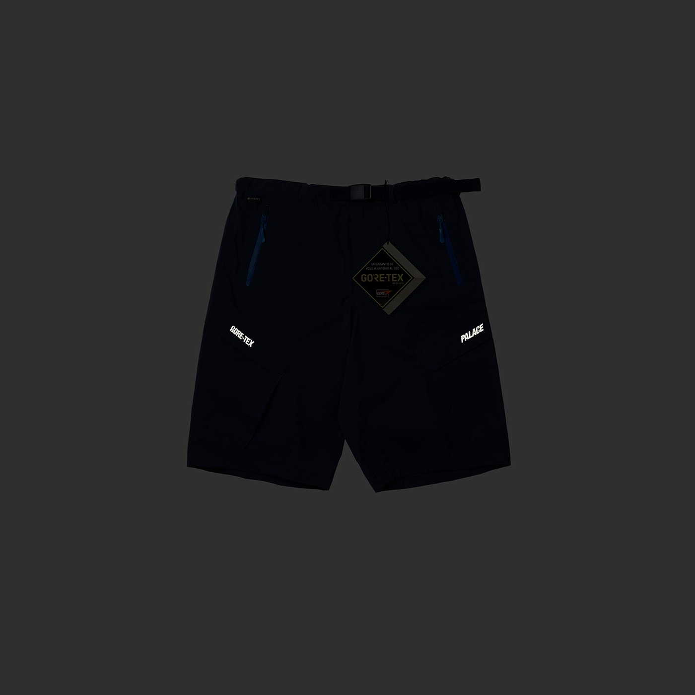 Thumbnail GORE-TEX R-TEK CARGO SHORT NAVY one color