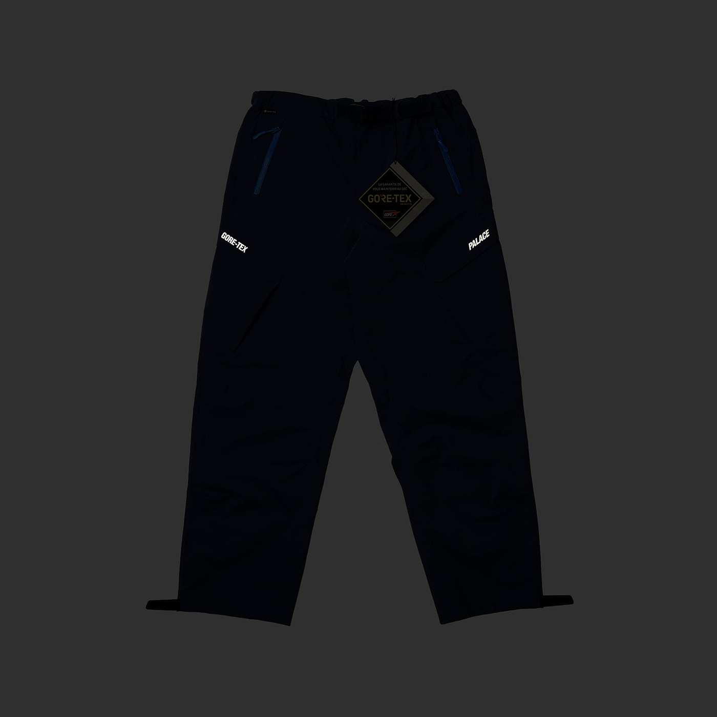 Thumbnail GORE-TEX R-TEK CARGO TROUSER NAVY one color