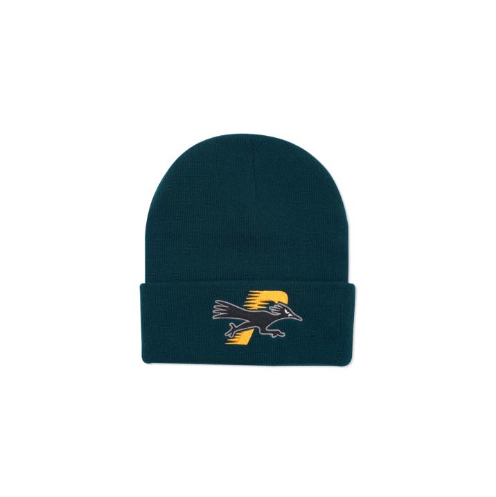 ROADRUNNER BEANIE PONDEROSA PINE one color