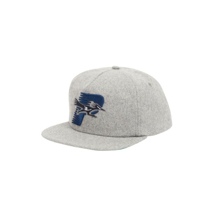 ROADRUNNER SNAPBACK PURITAN GREY WOOL one color