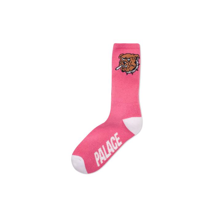 ZOOTED SOCK PINK one color