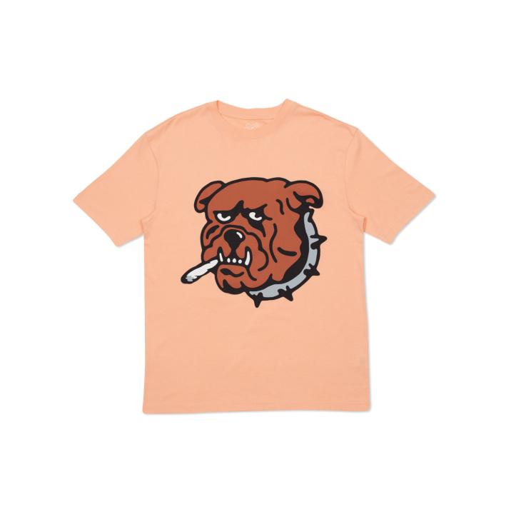 Thumbnail ZOOTED T-SHIRT SHRIMP one color