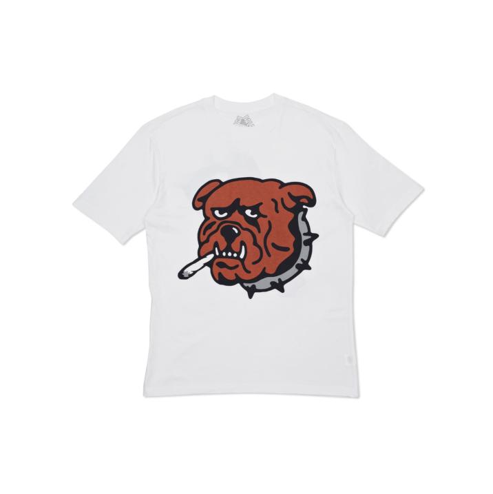 Thumbnail ZOOTED T-SHIRT WHITE one color