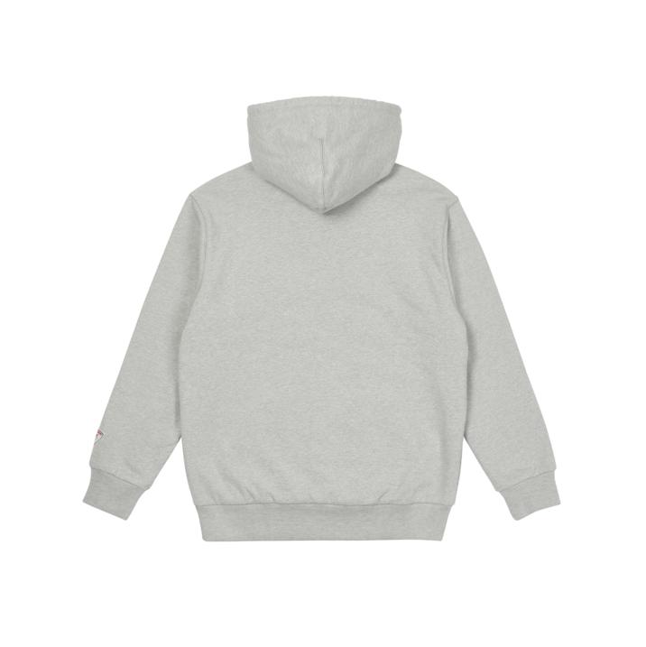 Thumbnail ARCH ZIP HOOD GREY MARL one color