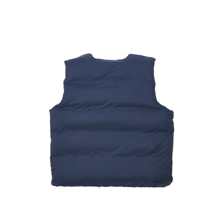 Thumbnail GORE-TEX INFINIUM REVERSO DOWN VEST PINK / NAVY one color