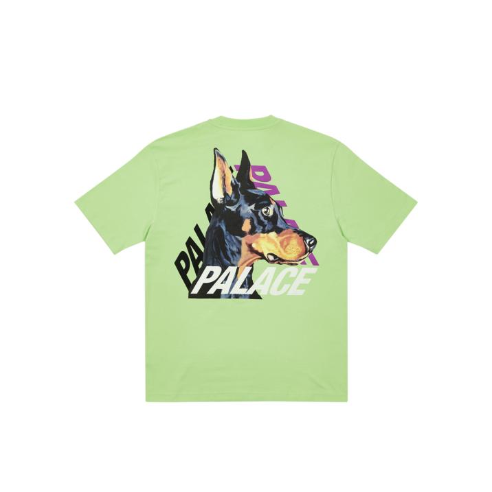 Thumbnail P-3-K-9 T-SHIRT PISTACHIO one color