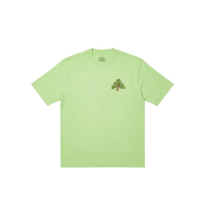 Thumbnail BONSAI T-SHIRT PISTACHIO one color