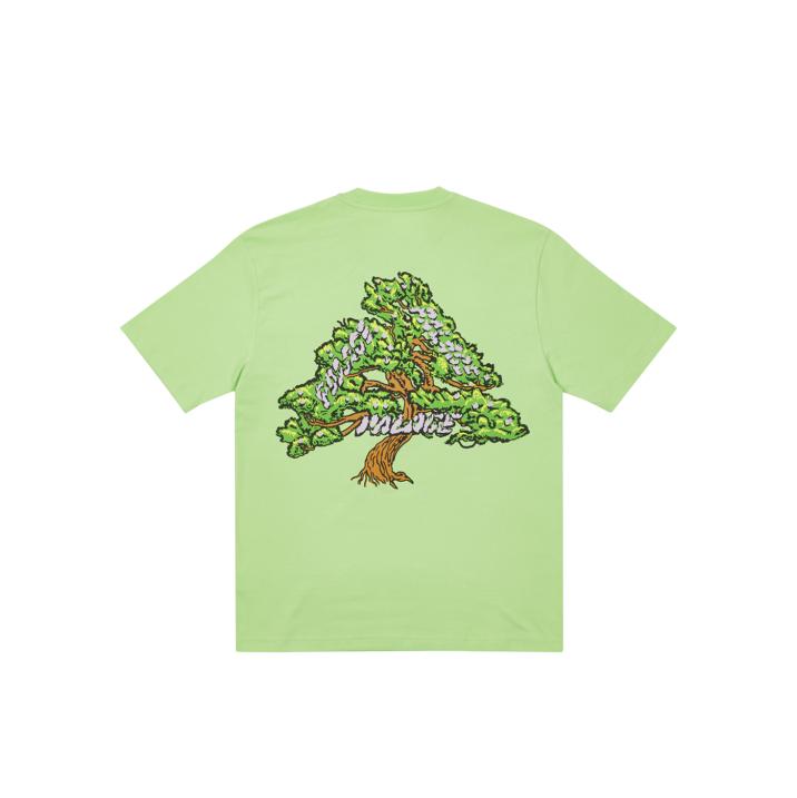 Thumbnail BONSAI T-SHIRT PISTACHIO one color