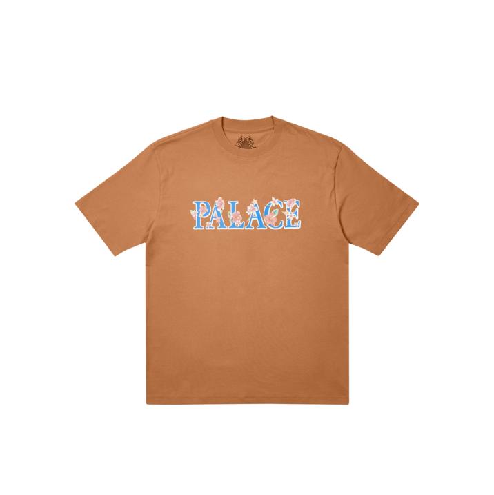 THANKS A BUNCH T-SHIRT CARAMEL one color