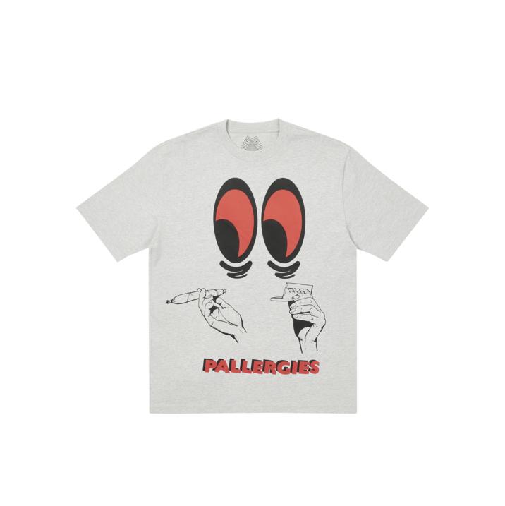 PALLERGIES T-SHIRT GREY MARL one color