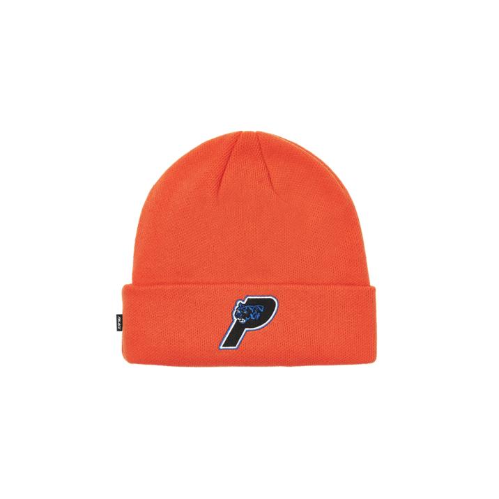 Thumbnail PANTHER BEANIE ORANGE one color