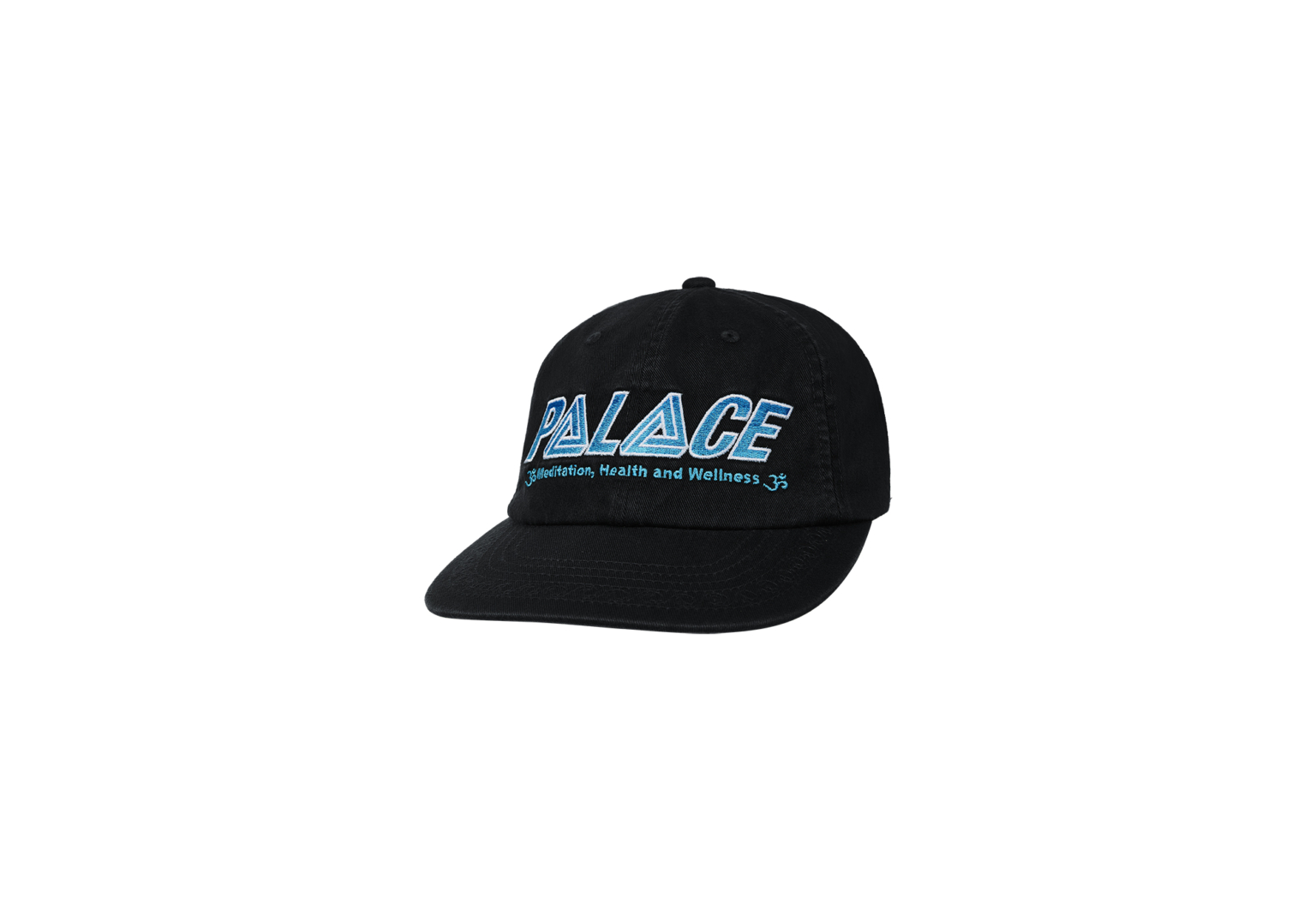 Wellness Pal Hat Black - Spring 2024 - Palace Community