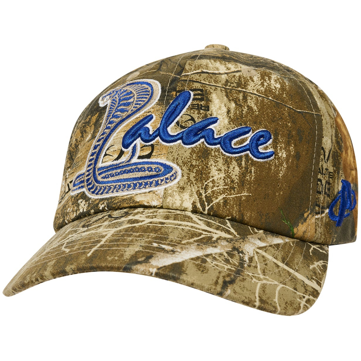 Thumbnail COBRA 6-PANEL REALTREE EDGE one color