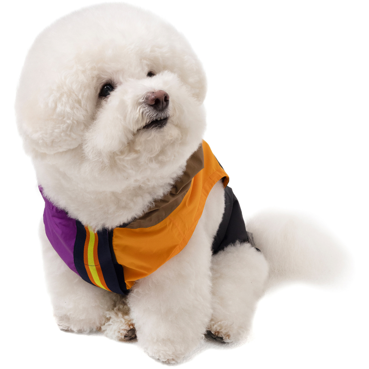 Thumbnail PALACE K-WAY LE VRAI 4.0 HORATIO DOG JACKET MULTI / PURPLE / ORANGE one color